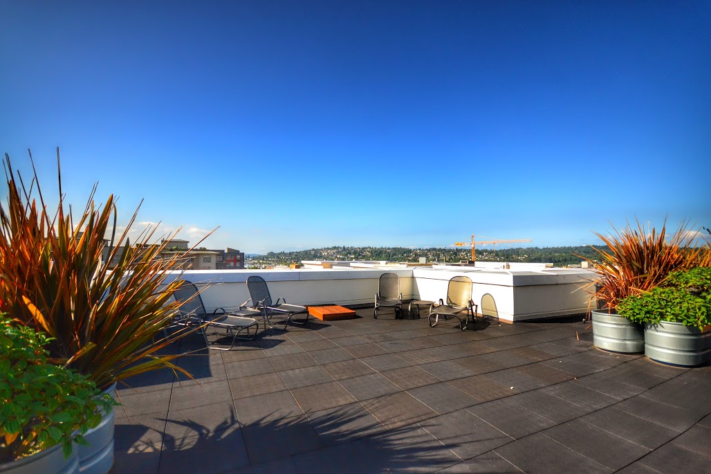 Property Photo: Rooftop Deck SW View&conn=none